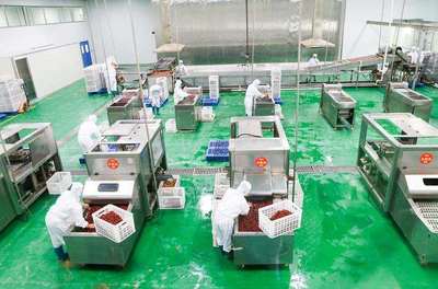 浙江名企“百草味”新疆工廠投產(chǎn)，助推新疆食品產(chǎn)業(yè)升級(jí)與區(qū)域協(xié)同發(fā)展